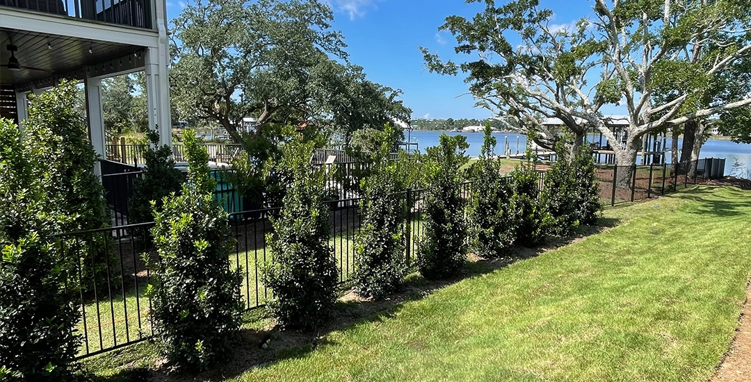 Iron fence